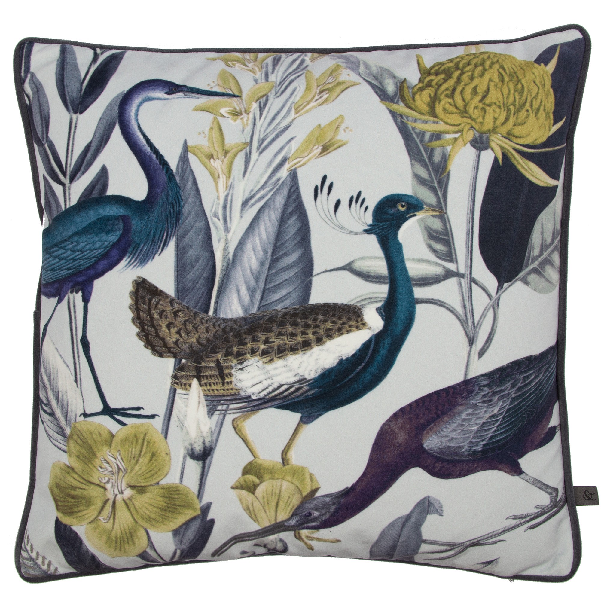 Glasshouse Bird Cushion By Graham Brown In Soft Grey